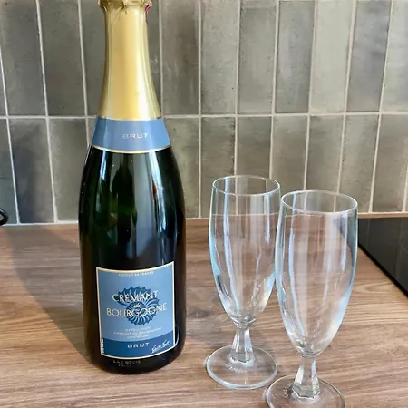 아파트 Le Richebourg - Place Wilson, Centre 디종