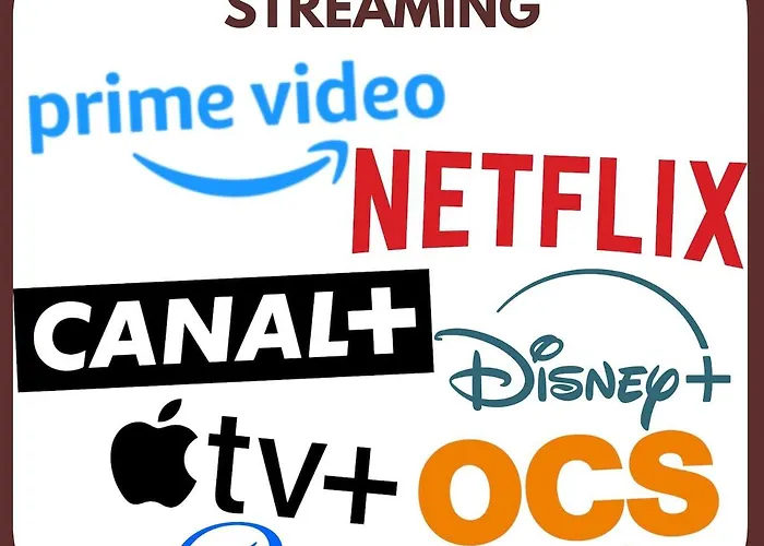 Le Richebourg - Place Wilson, Centre * Ντιζόν