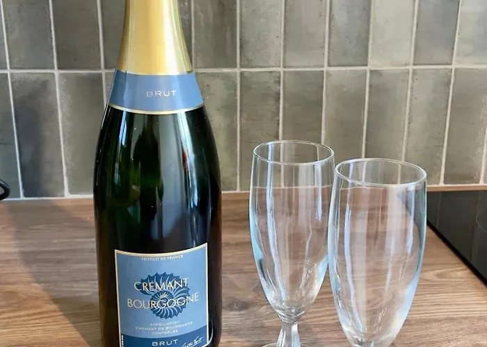 アパート Le Richebourg - Place Wilson, Centre ディジョン